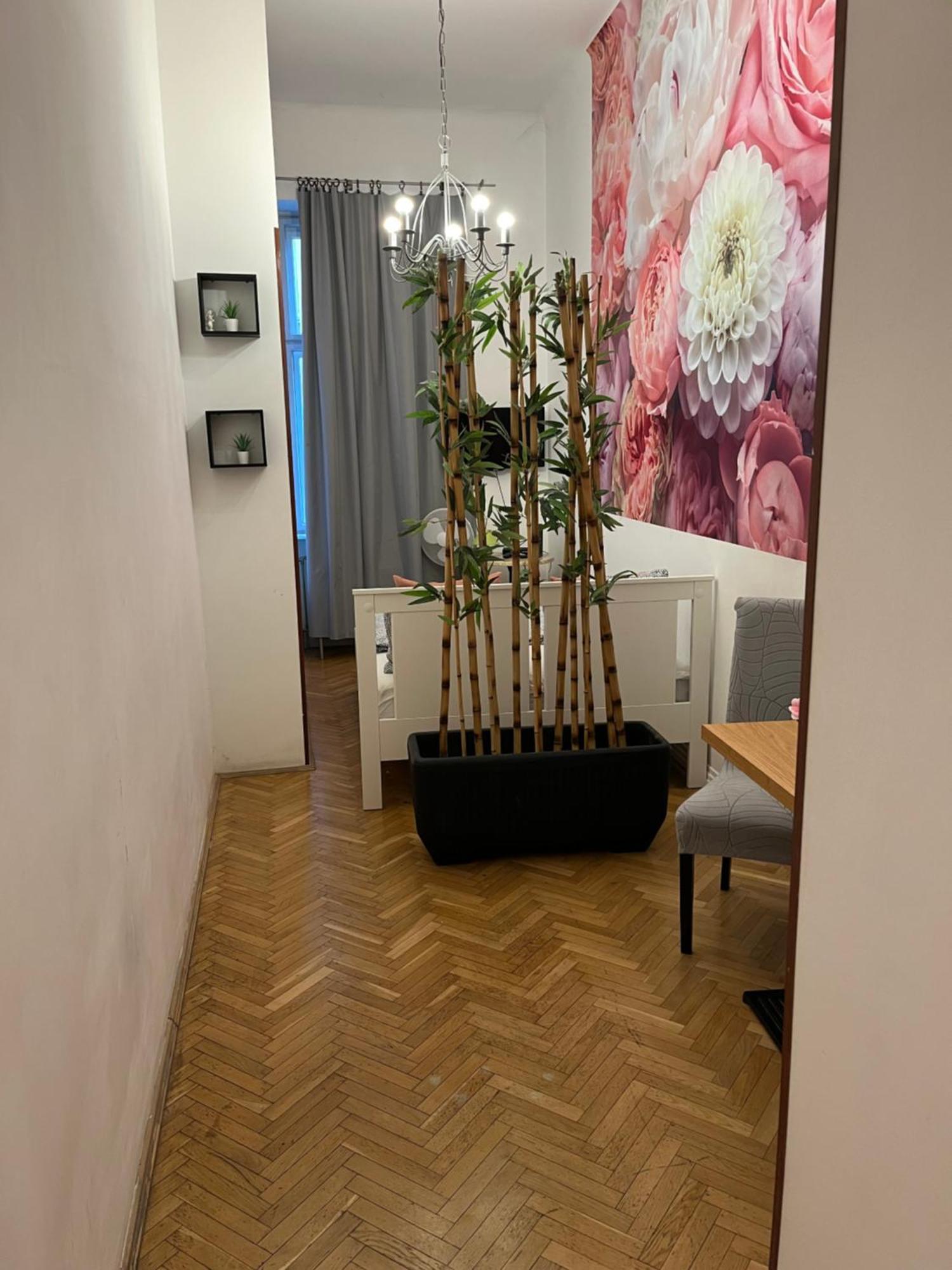 Millionrosesvintage Apartmen Vaci Street Free Airconditioner And Coffee — Fotók 3