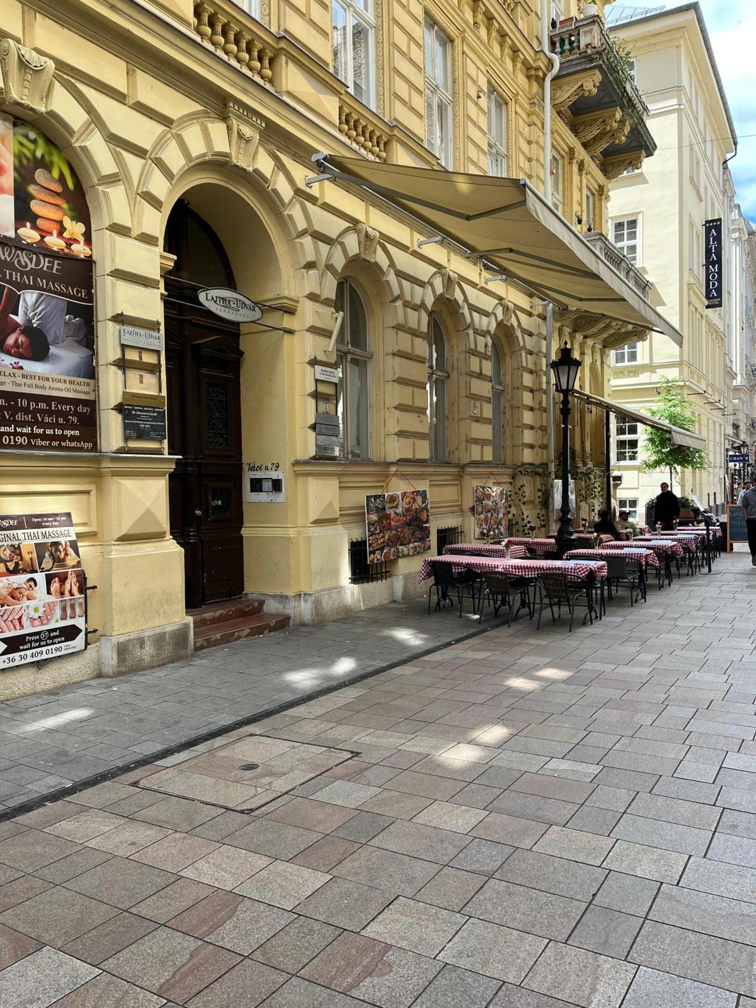 Millionrosesvintage Apartmen Vaci Street Free Airconditioner And Coffee — Fotók 1